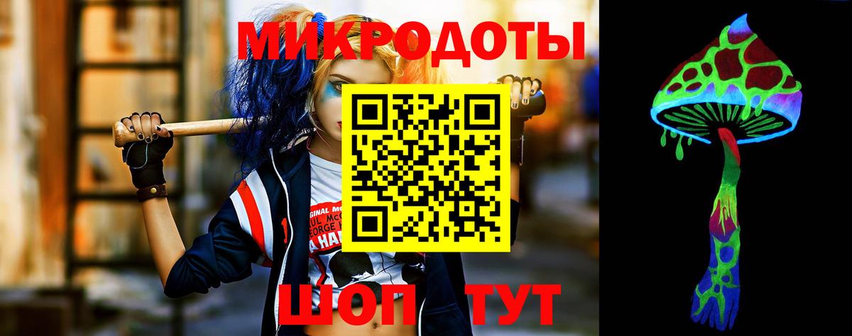 Галлюциногенные грибы Psilocybine cubensis Славгород